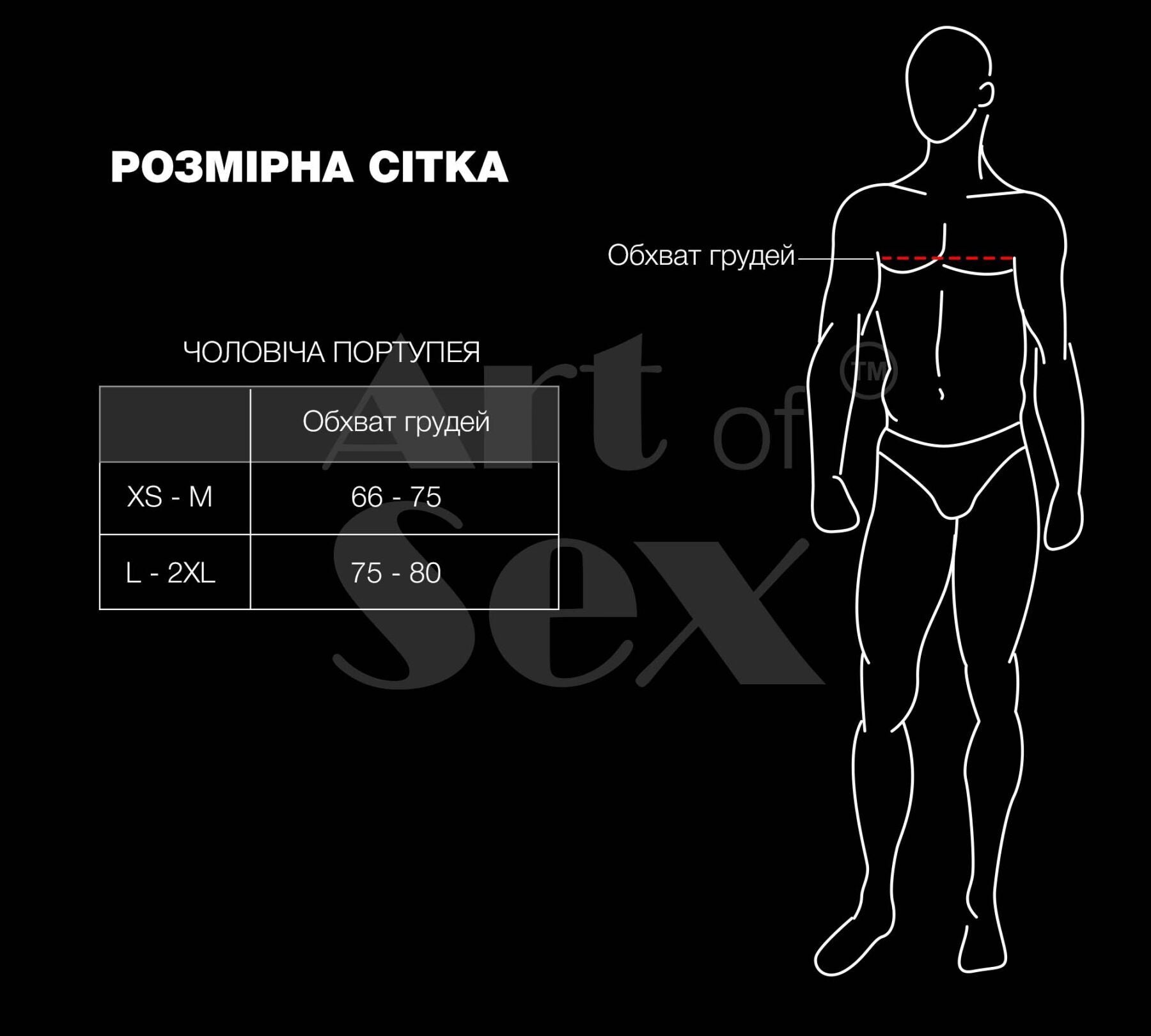 Чоловіча портупея Art of Sex Spartacus
