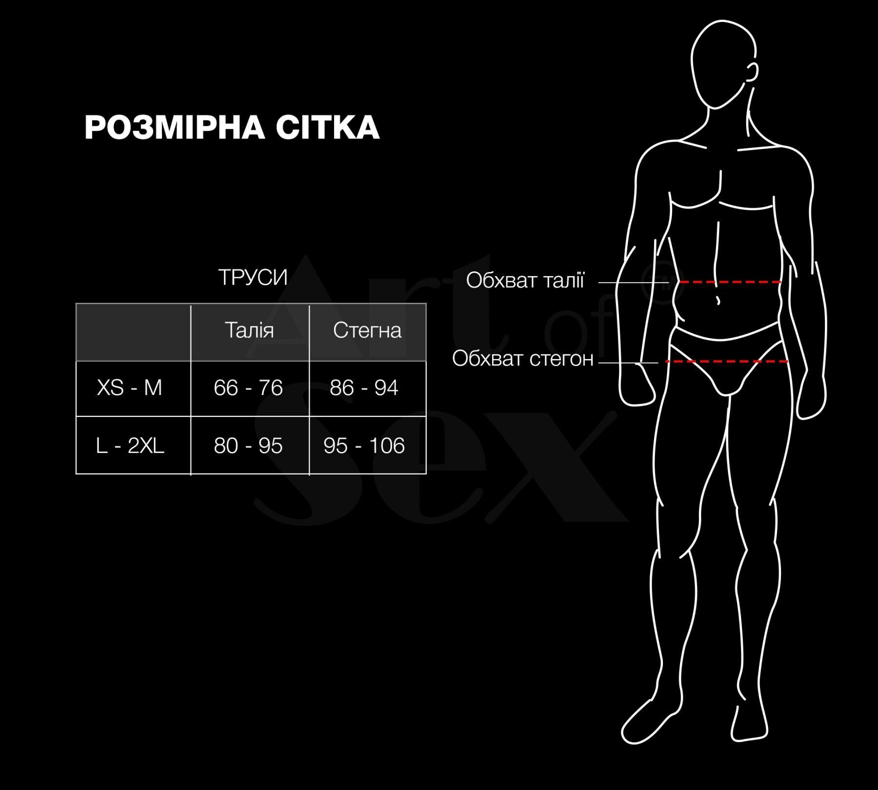 Чоловічі труси з сітки Art of Sex Demir