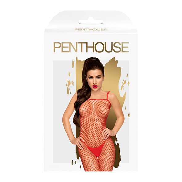 Бодістокінг у велику сітку Penthouse Body