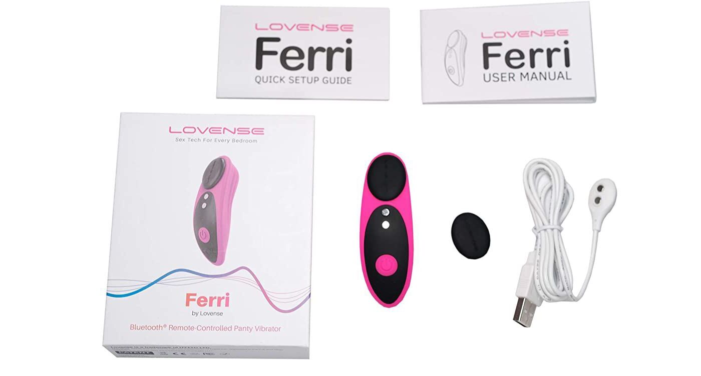 Смарт-вібратор в трусики Lovense Ferri