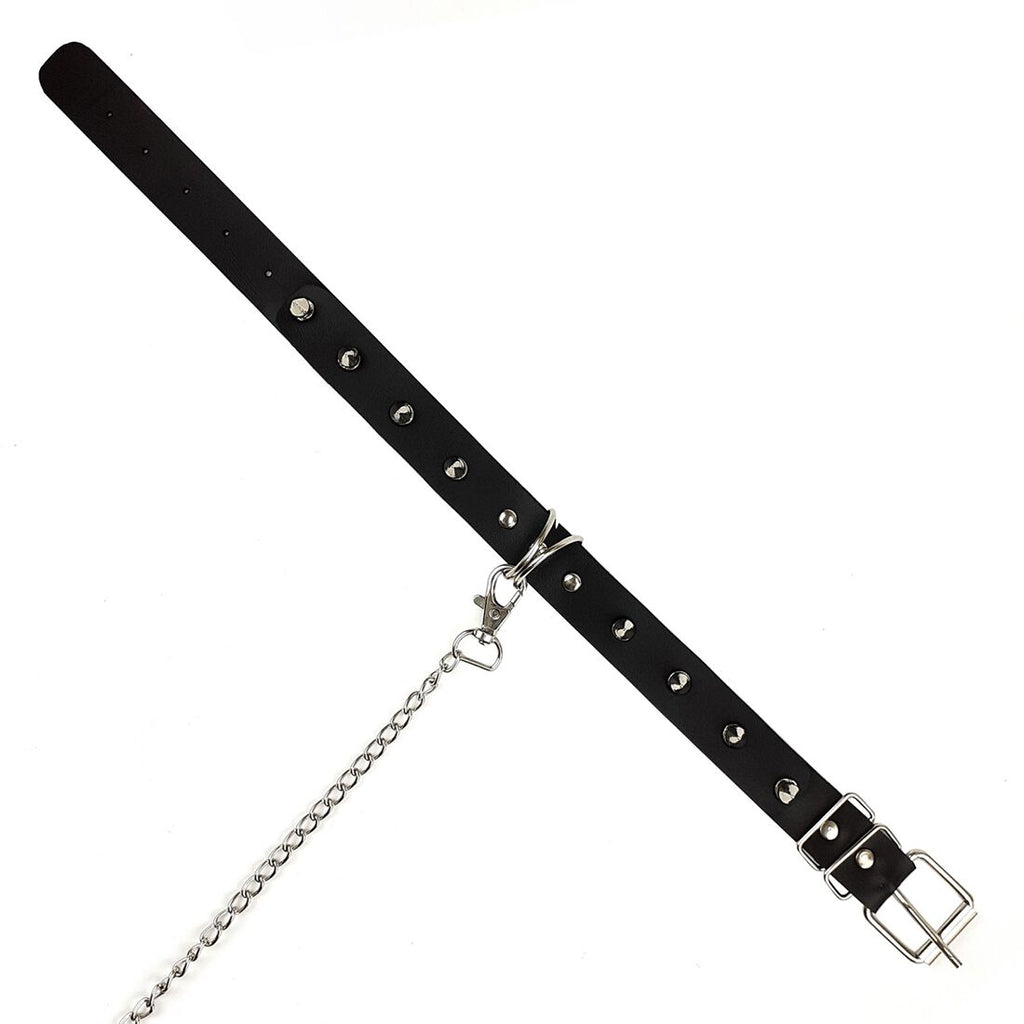 Нашийник Art of Sex Collar Spikes and Leash