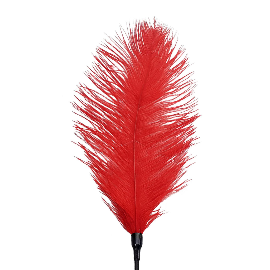 Лоскітка зі страусиним пером Art of Sex Feather Tickler