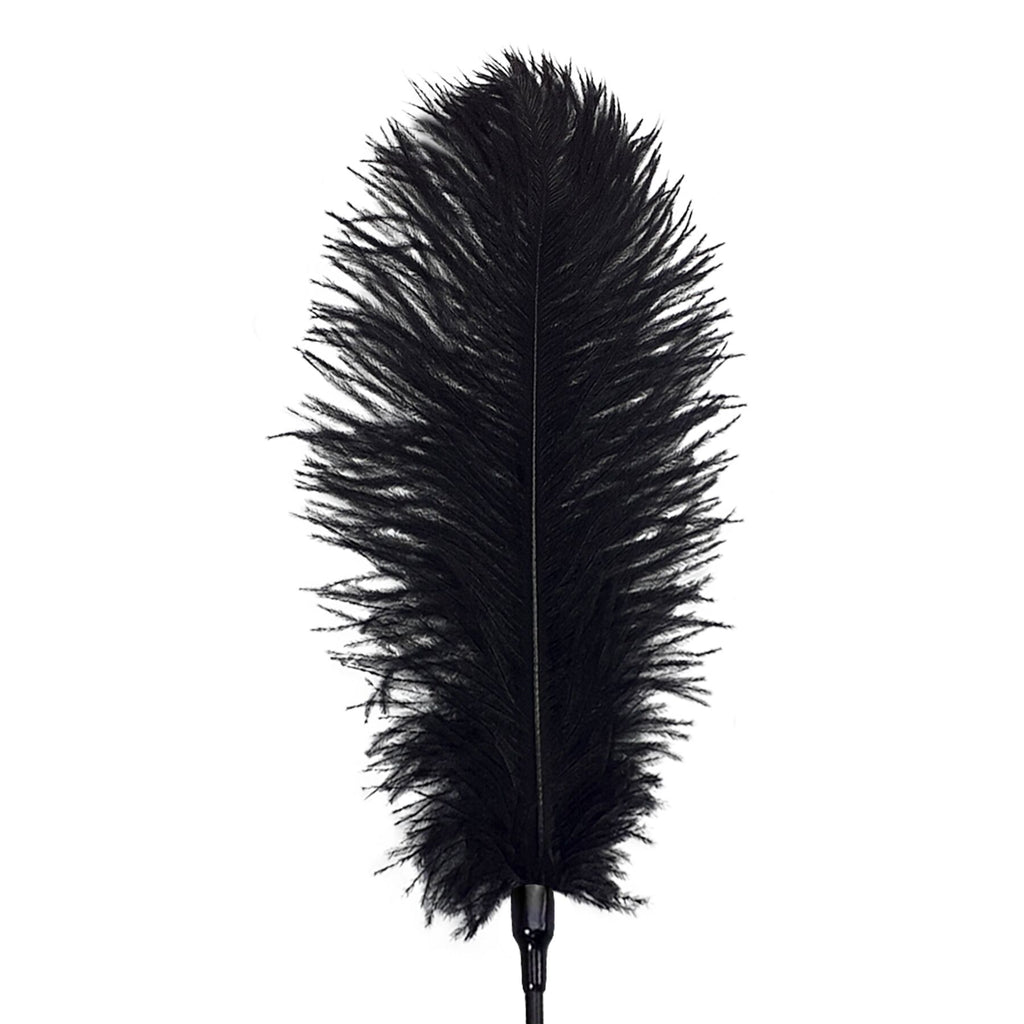 Лоскітка зі страусиним пером Art of Sex Feather Tickler