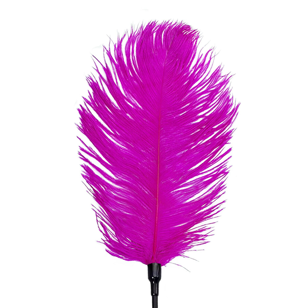 Лоскітка зі страусиним пером Art of Sex Feather Tickler