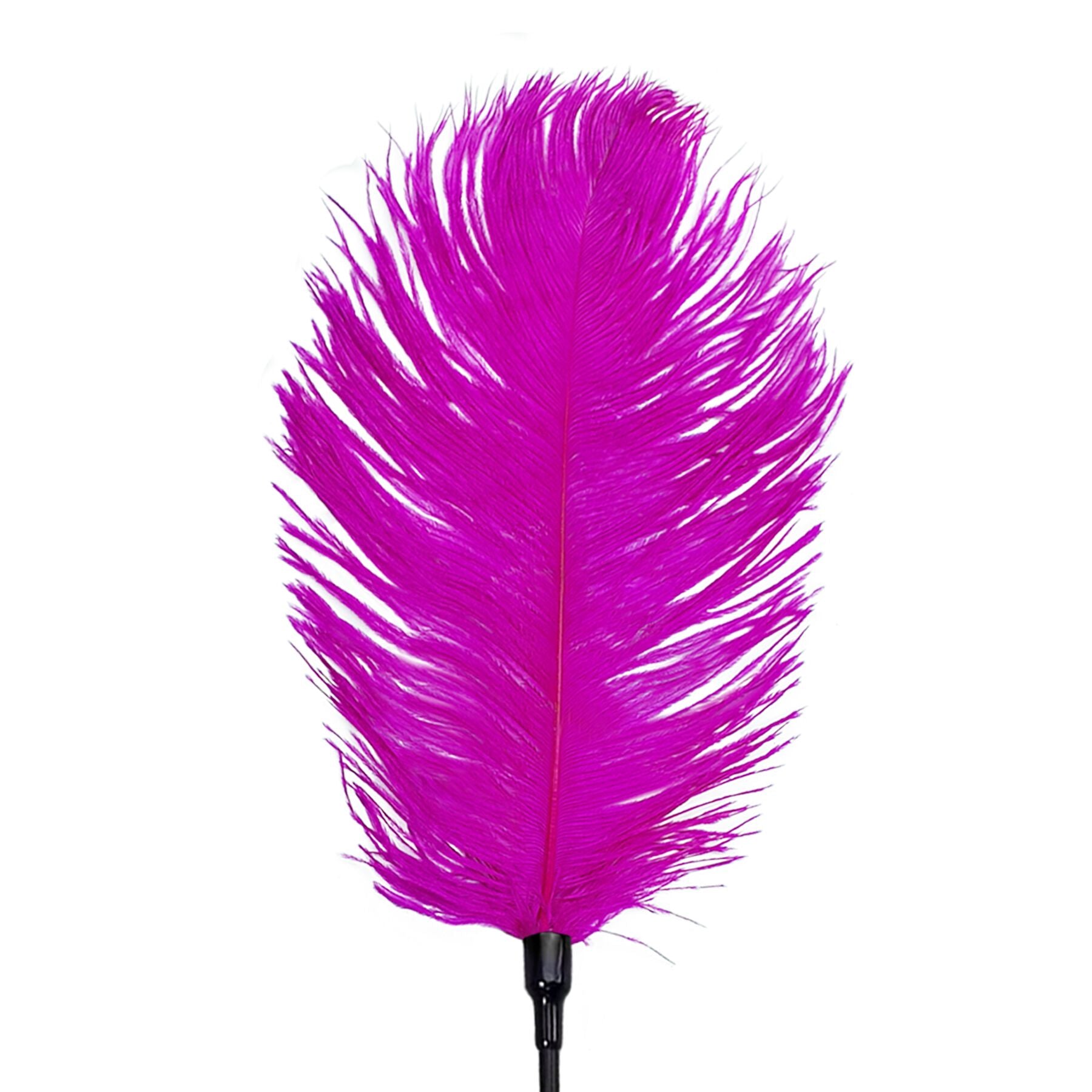 Лоскітка зі страусиним пером Art of Sex Feather Tickler