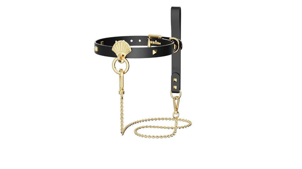 Розкішний нашийник з повідцем Zalo Collar & Leash