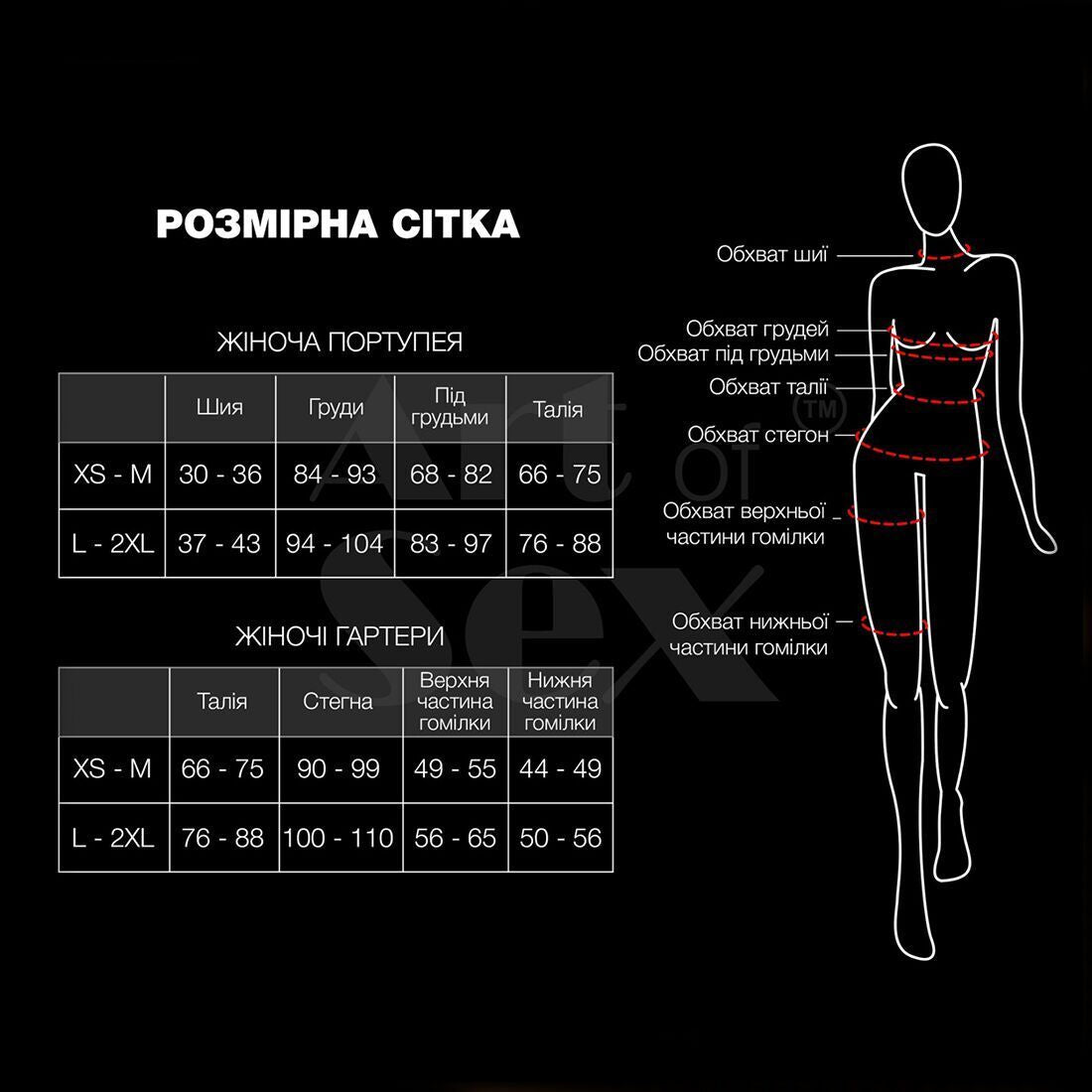 Набір портупея + трусики зі шкіри з ланцюжками Art of Sex Cross
