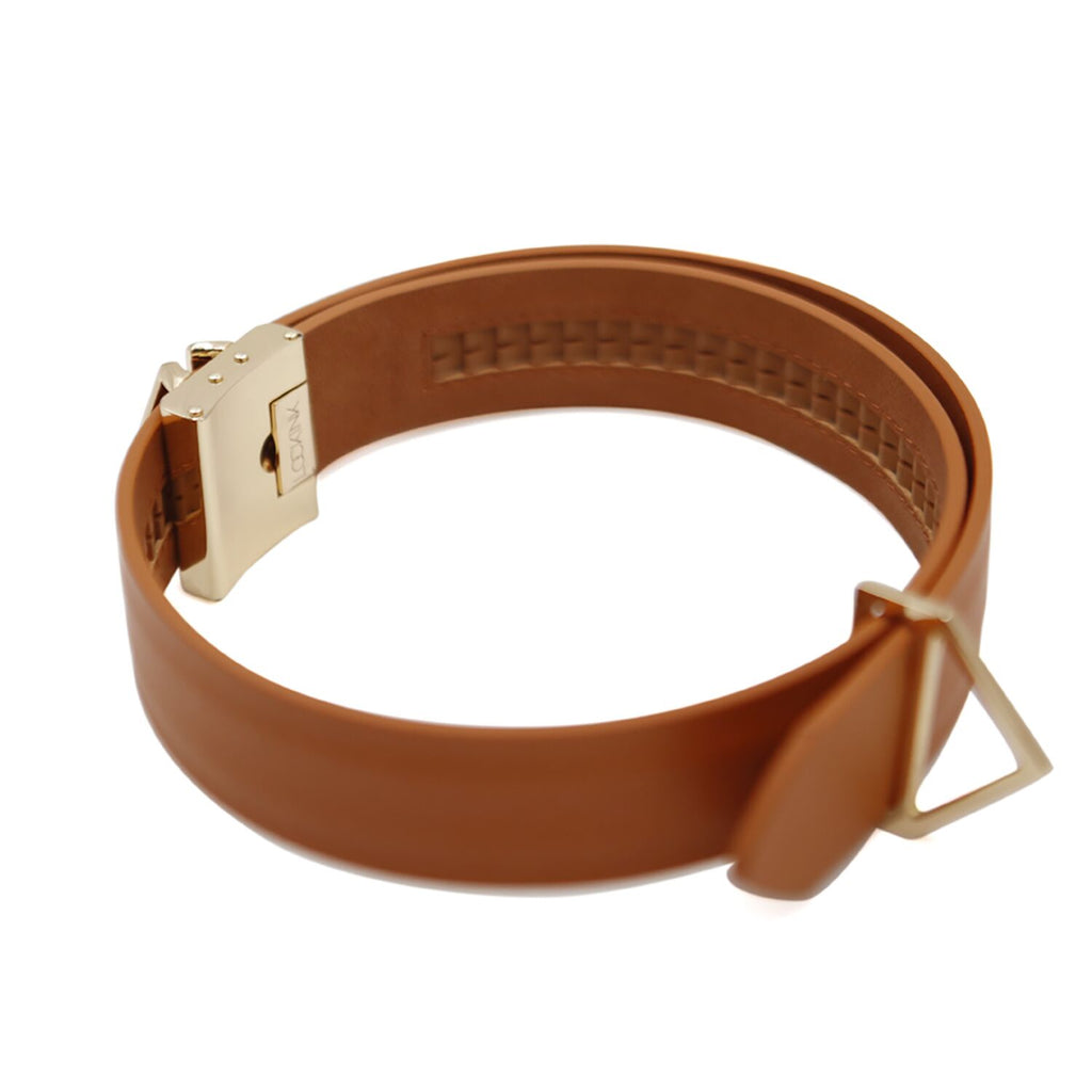 Нашийник з повідцем LOCKINK Tied Collar with
