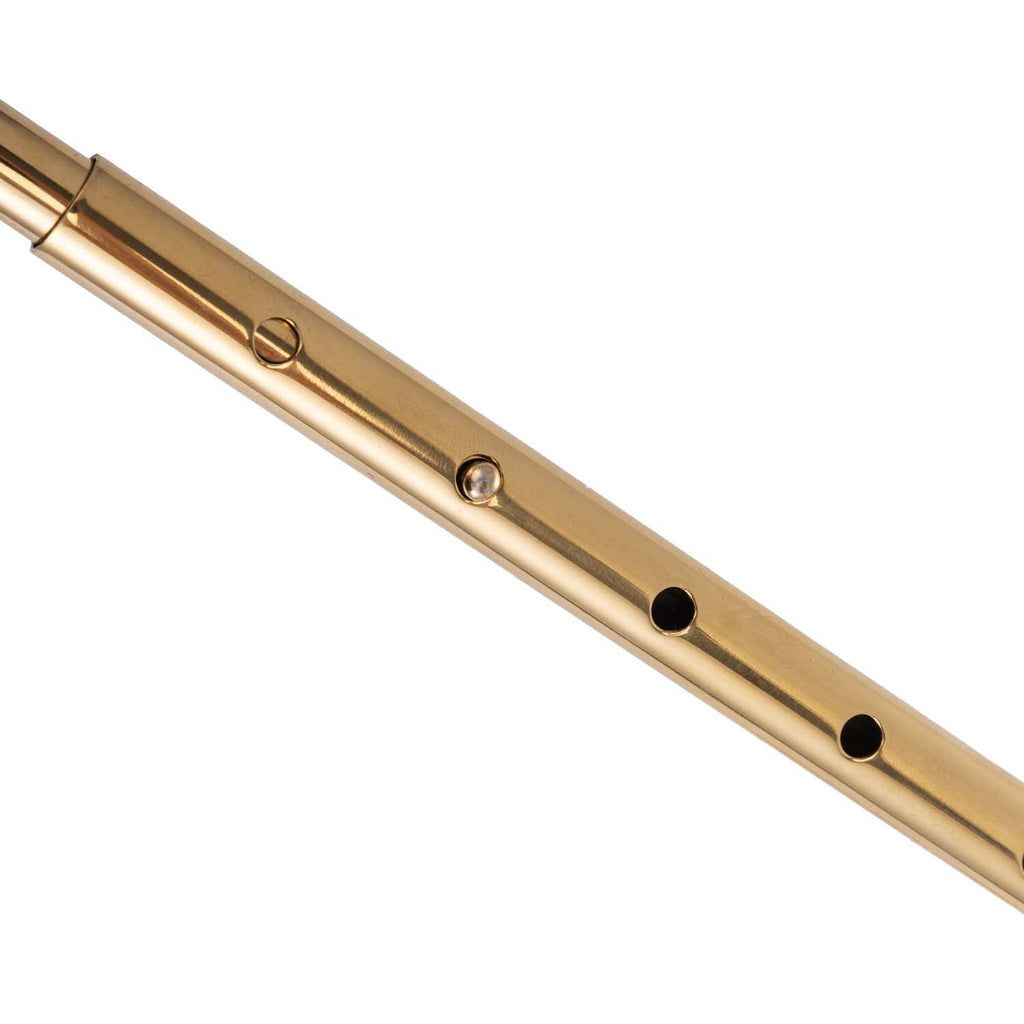 Анальний гак LOCKINK Golden Adjustable Anal