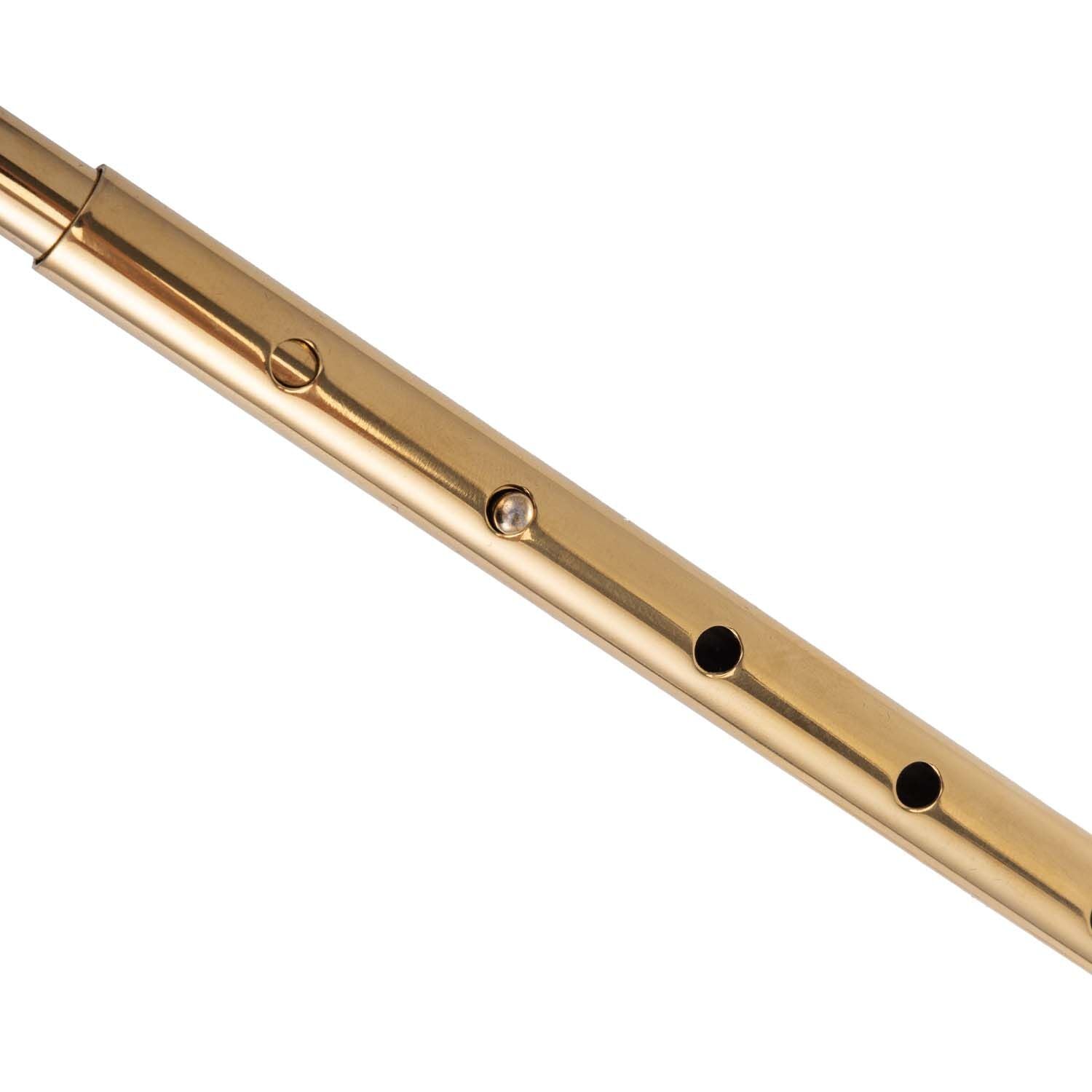 Анальний гак LOCKINK Golden Adjustable Anal