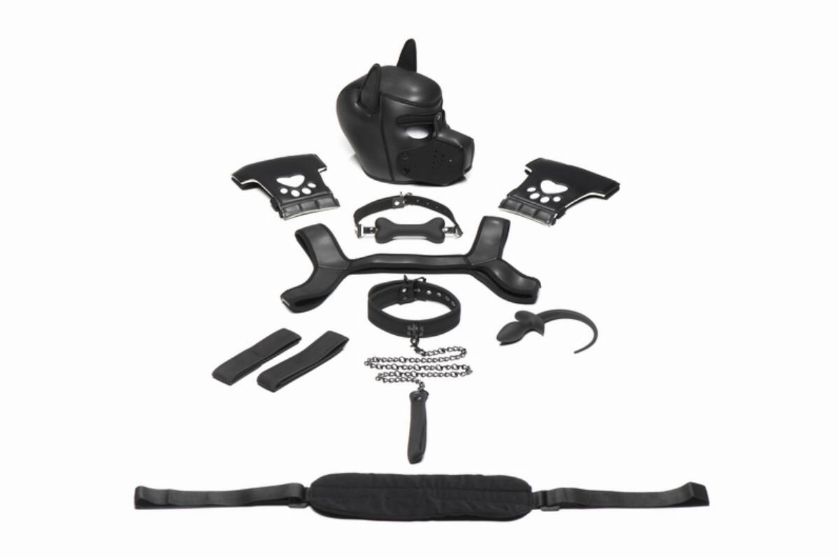 Набір BDSM цуценя Master Series Luxury Pup Arsenal