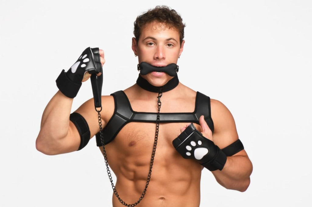 Набір BDSM цуценя Master Series Luxury Pup Arsenal