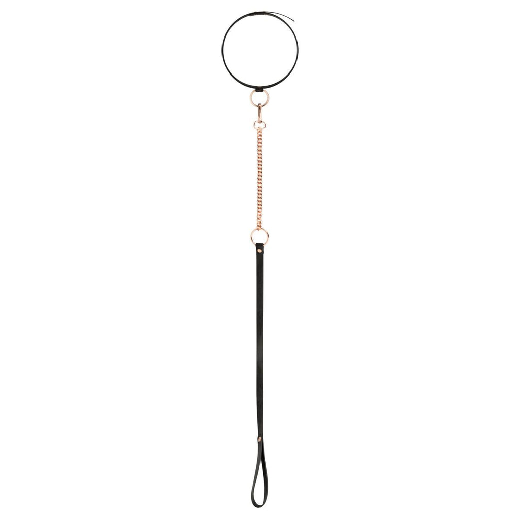 Нашийник з повідцем Rosy Gold Collar with Leash