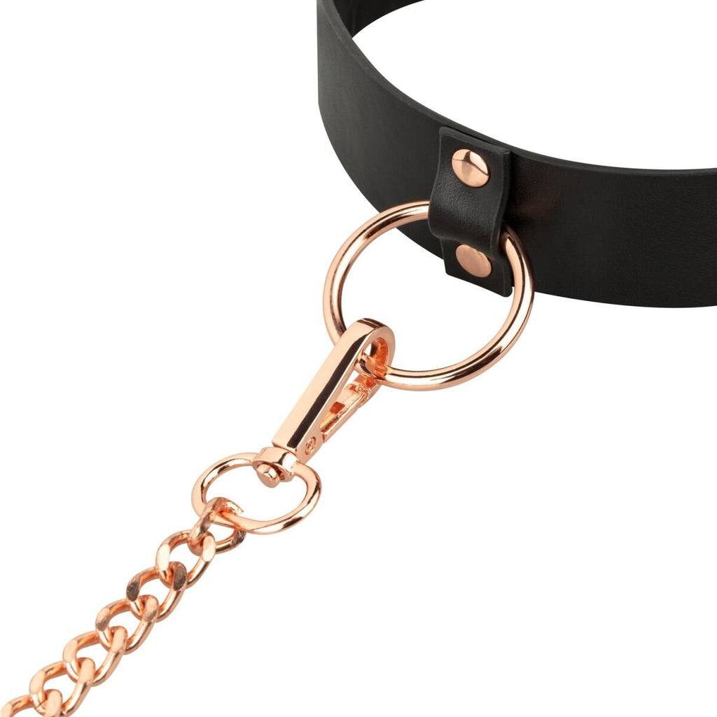 Нашийник з повідцем Rosy Gold Collar with Leash