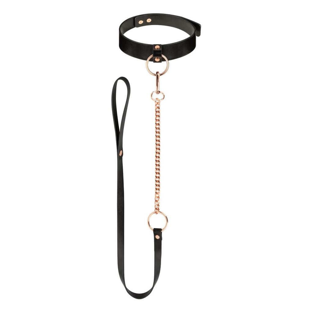 Нашийник з повідцем Rosy Gold Collar with Leash