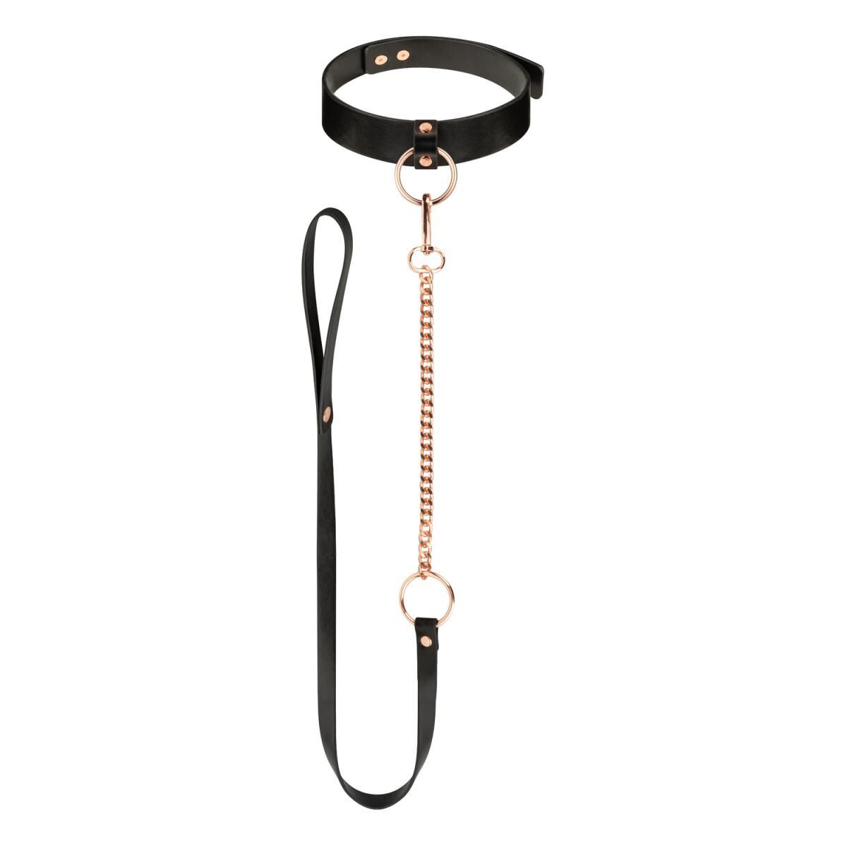 Нашийник з повідцем Rosy Gold Collar with Leash